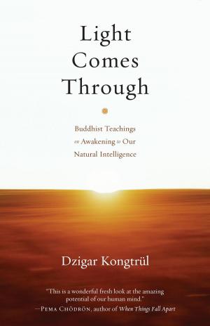 Cover of the book Light Comes Through by Andy Fraser, Jon Kabat-Zinn, Sogyal Rinpoche, Clifford Saron
