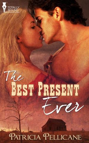 Cover of the book The Best Present Ever by Isabelle Drake