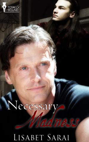 Cover of the book Necessary Madness by Megan Slayer