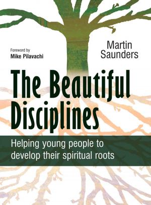 Cover of the book The Beautiful Disciplines by Juliet David, Steve Smallman