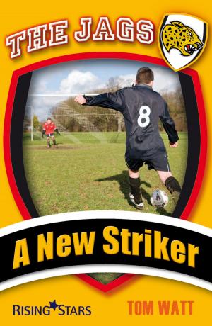 bigCover of the book A New Striker by 
