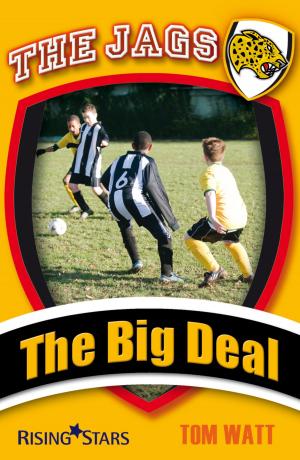 Cover of the book The Big Deal by Tom Watt