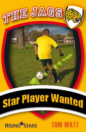 Cover of the book Star Player Wanted by Helen Chapman