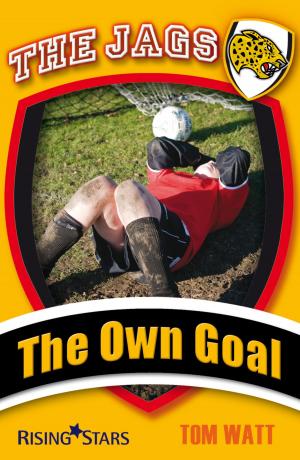 bigCover of the book The Own Goal by 