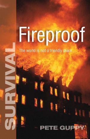 Cover of the book Fireproof by Helen Chapman