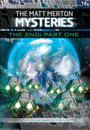 Cover of the book The End: Part One by Paul Blum