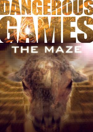 Cover of the book The Maze by Paul Blum