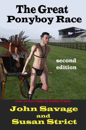 Book cover of The Great Ponyboy Race