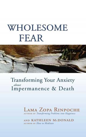 Cover of the book Wholesome Fear by Daniel Hirshberg