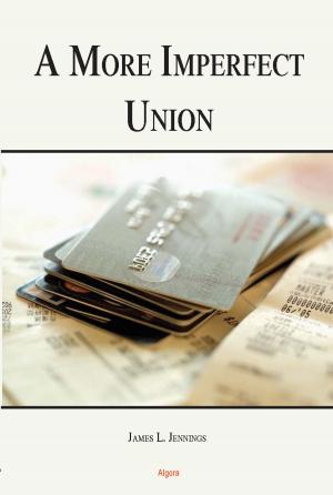 Cover of the book A More Imperfect Union by Daniel H.  Shubin