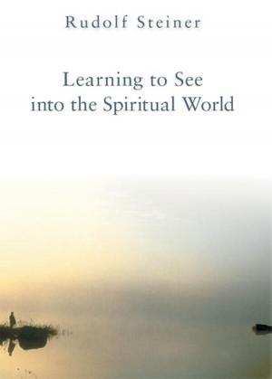 Cover of Learning to See into the Spiritual World