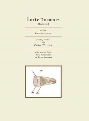 Book cover of Little Theatres