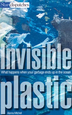 Cover of the book Invisible Plastic by Leslie Scrivener