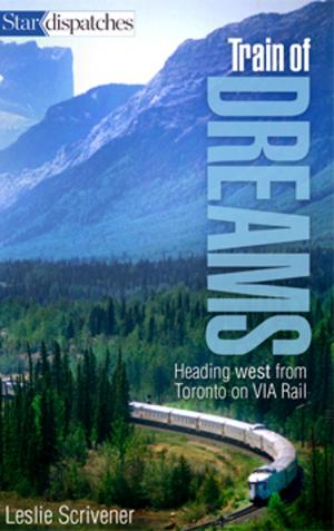 Book cover of Train of Dreams