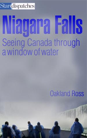 Book cover of Niagara Falls