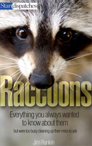 Cover of the book Raccoons by Jim Coyle