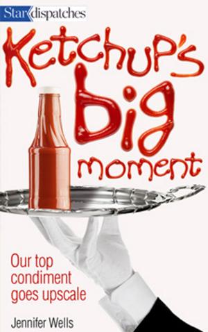 Cover of the book Ketchup's Big Moment by Paul Hunter, Jim Rankin