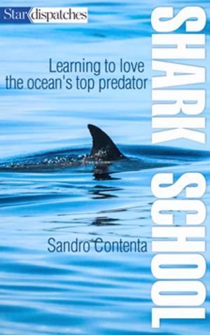 Cover of the book Shark School by Leslie Scrivener