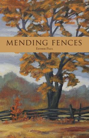 Book cover of Mending Fences