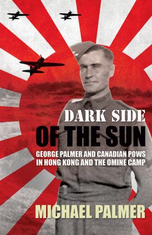 Book cover of Dark Side of the Sun