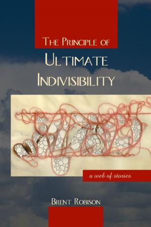 Book cover of The Principle of Ultimate Indivisibility