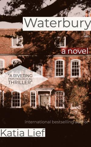 Cover of Waterbury: a crime novel