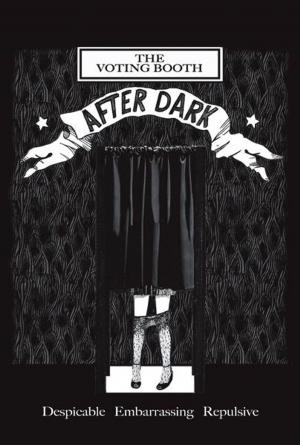 Cover of the book The Voting Booth After Dark: Despicable, Embarrassing, Repulsive by Javier Olivera Ravasi