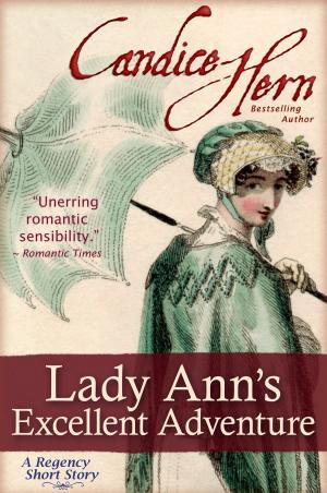 Book cover of Lady Ann's Excellent Adventure
