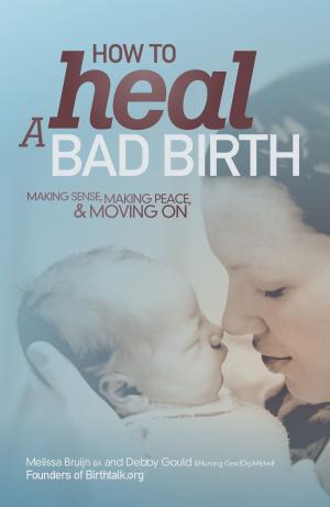Cover of the book How to Heal a Bad Birth by Jeremy Godwin