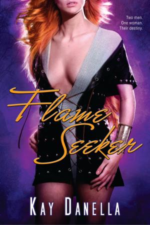 Cover of the book Flame Seeker by Sarah Pinsker
