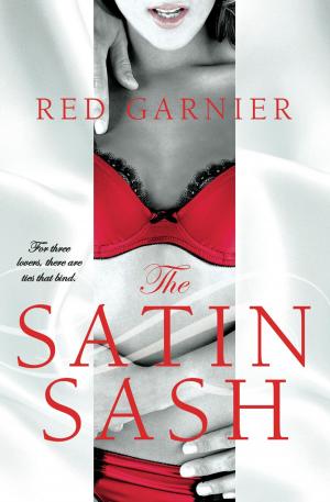 Cover of the book The Satin Sash by Marianne Ellis