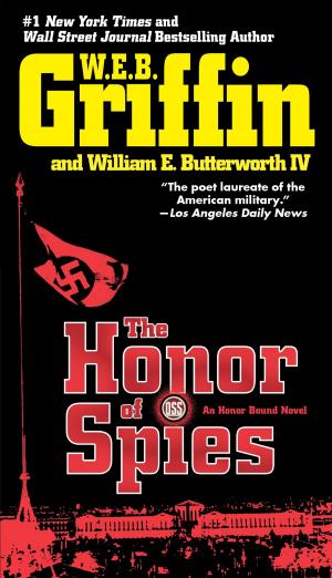 Cover of the book The Honor of Spies by Mary Stanton