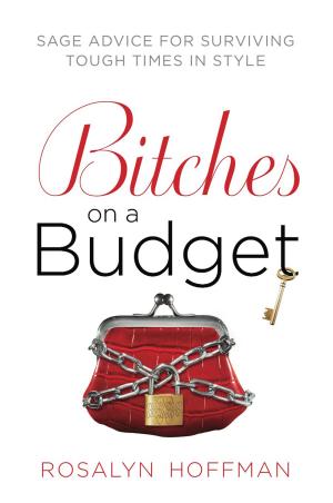 bigCover of the book Bitches on a Budget by 