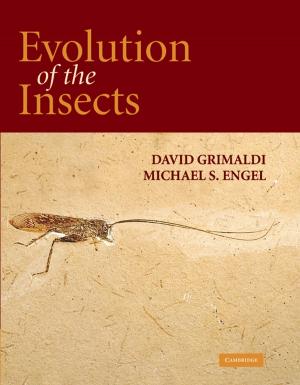 Book cover of Evolution of the Insects