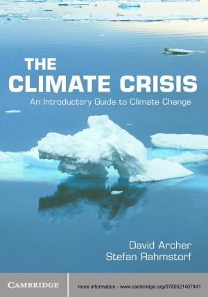 Cover of the book The Climate Crisis by Stephen Bending