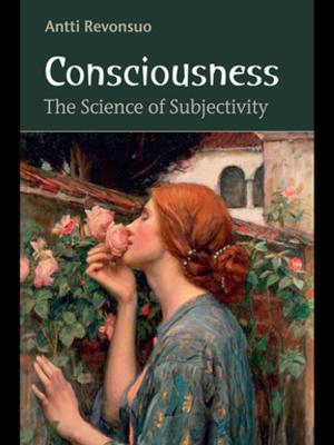 Cover of the book Consciousness by Stephen Wall
