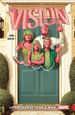 Cover of the book Vision Vol. 1 by Kieron Gillen