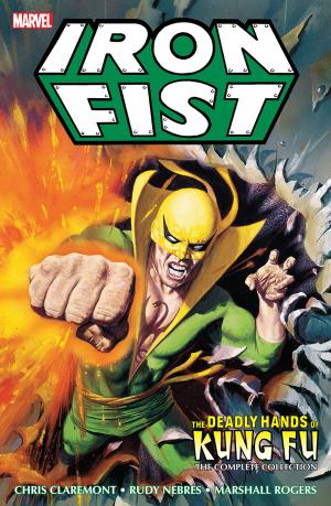 Cover of the book Iron Fist by Troy Benjamin