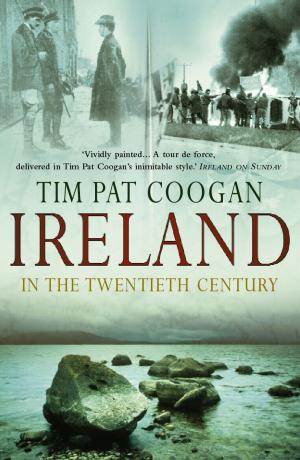 Cover of the book Ireland In The 20th Century by Simon Hansen