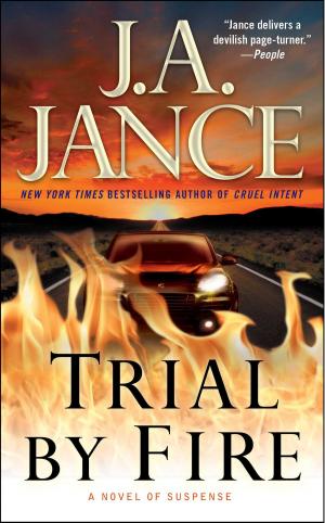 Cover of the book Trial by Fire by Alice Clayton