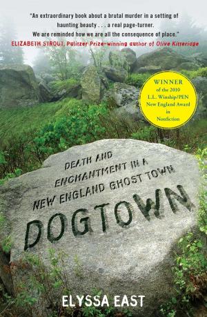 Book cover of Dogtown