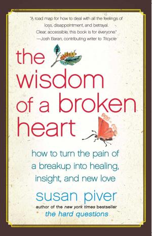 Cover of the book The Wisdom of a Broken Heart by Laurie Lisle