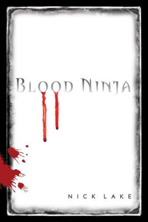 Cover of the book Blood Ninja by Ellen Wittlinger