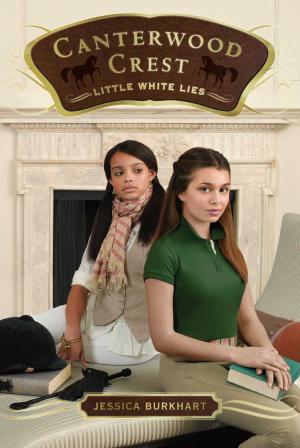 Cover of the book Little White Lies by Carolyn Keene