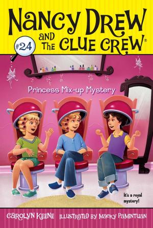 Cover of the book Princess Mix-up Mystery by Lauren Barnholdt