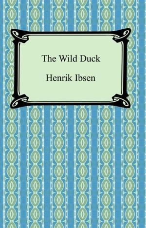 Cover of the book The Wild Duck by B. Keene