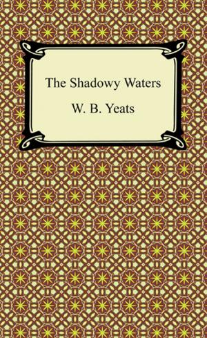 Book cover of The Shadowy Waters