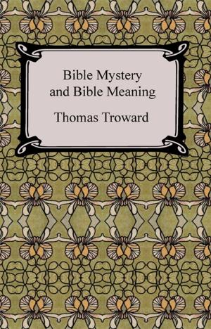 Cover of the book Bible Mystery and Bible Meaning by Theodor Herzl