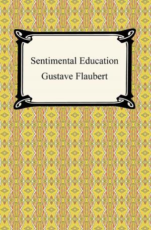 Cover of the book Sentimental Education by Sir Richard Burton