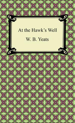 Book cover of At the Hawk's Well